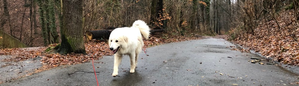 Gemütlicher Spaziergang