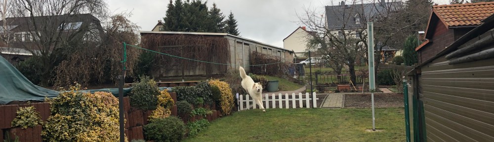 Ja, ja, ja, jaaaaa, die Bella kann fliegen!