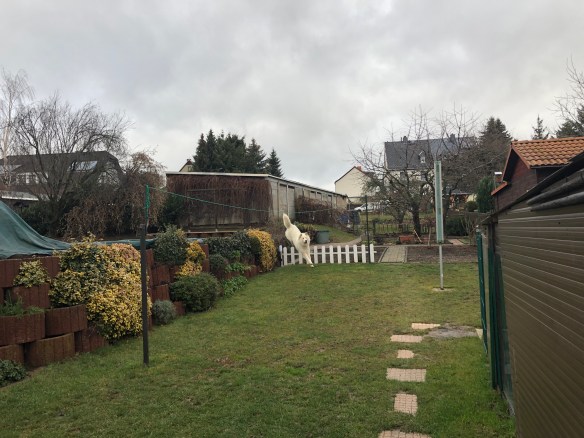 Ja, ja, ja, jaaaaa, die Bella kann fliegen!