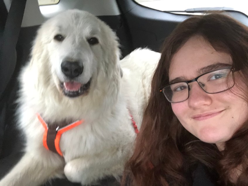 Mit meiner großen Menschenschwester in meinem roten Auto