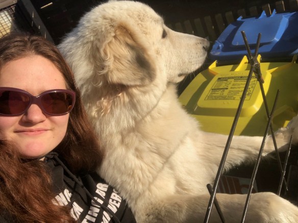 Die Bella und ihre große Menschenschwester