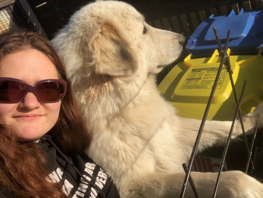 Die Bella und ihre große Menschenschwester