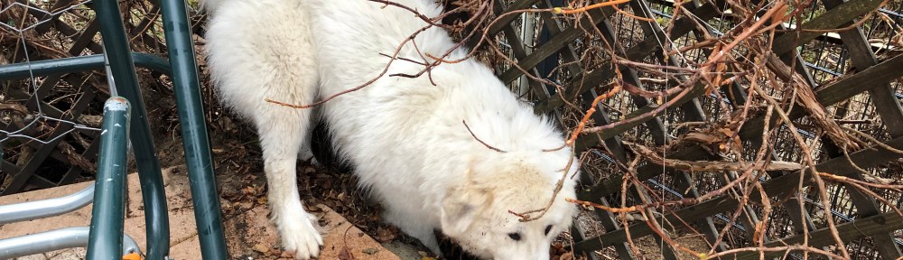 Gartenarbeit! Loch buddeln!