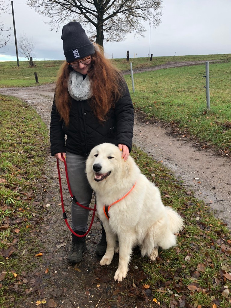 Morgenspaziergang mit meinen Menschen