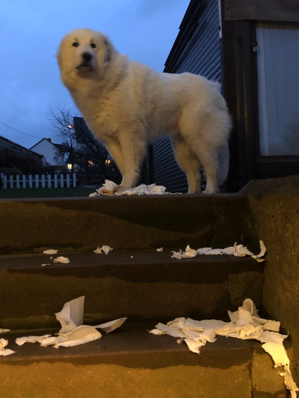 Geschmückte Kellertreppe