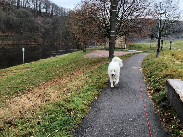 Auf dem Weg zur Wackelbrücke