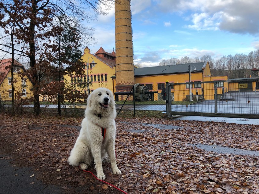 Am Wasserwerk