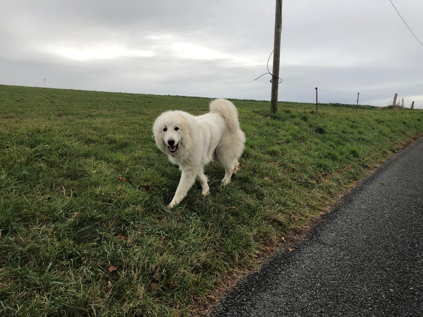 Mein Sonntagsspaziergang