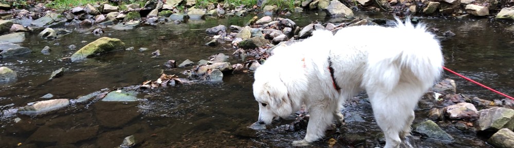 Schnell noch was trinken