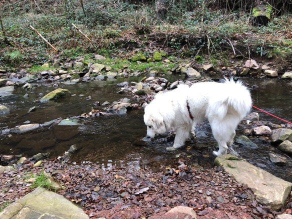 Schnell noch was trinken