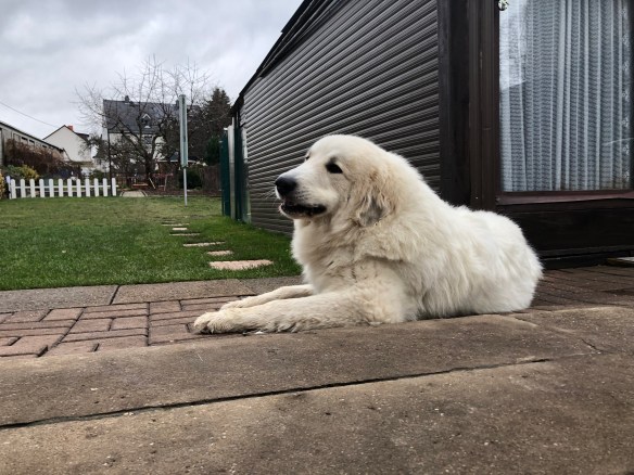 Ausruhen nach dem großen Sonntagsspaziergang