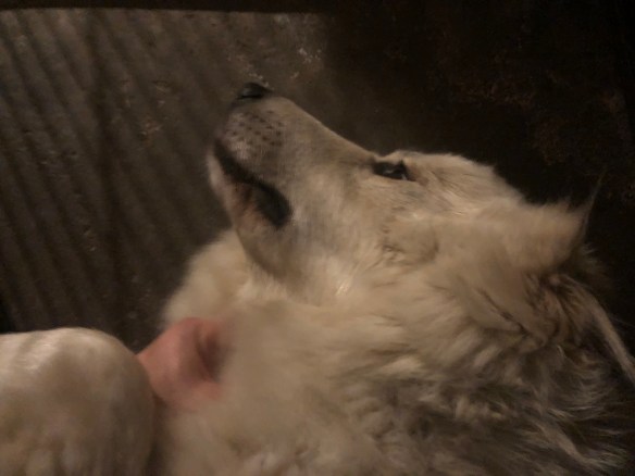 Begrüßungsknuddeln