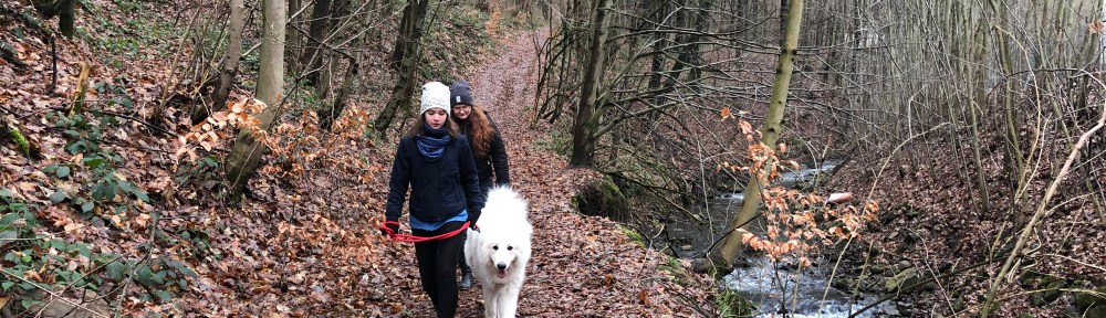 Sonntagsspaziergang mit meinen Menschenschwestern
