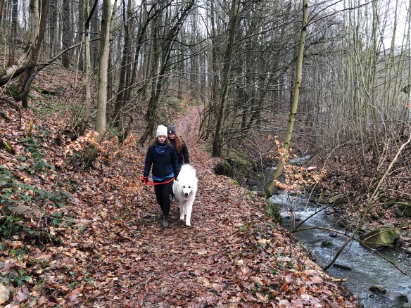 Sonntagsspaziergang mit meinen Menschenschwestern