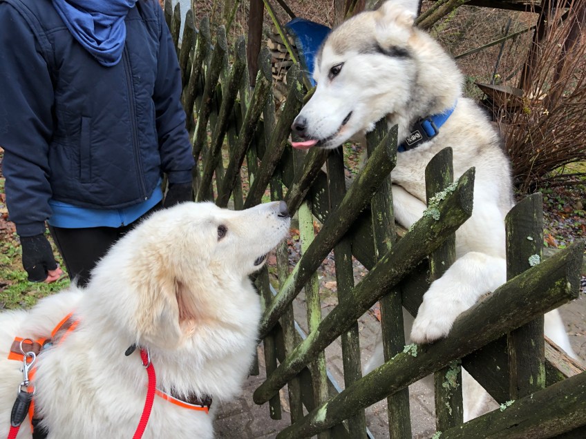 … wir sind Freunde