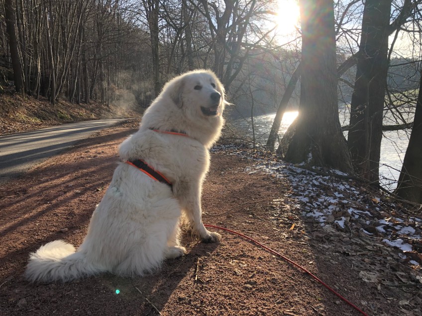 Die Bella beim großen Fluß mit dem komischen Namen