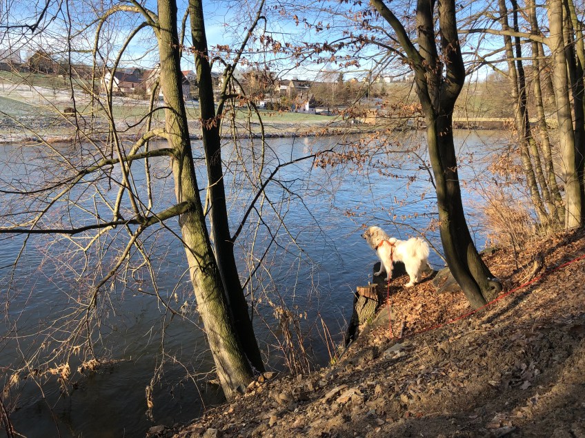 Ich beobachte die Enten