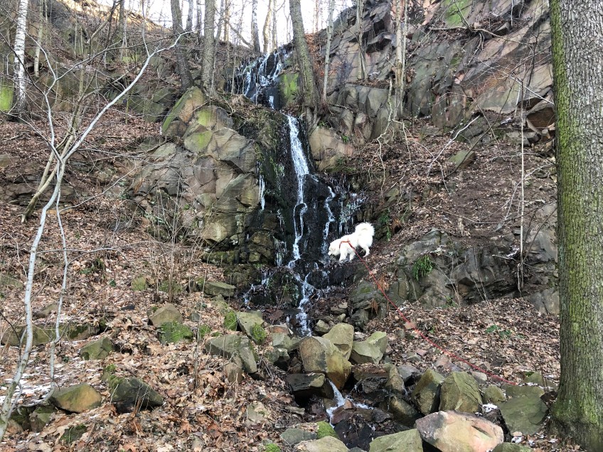 Die Bella am Wasserfall …