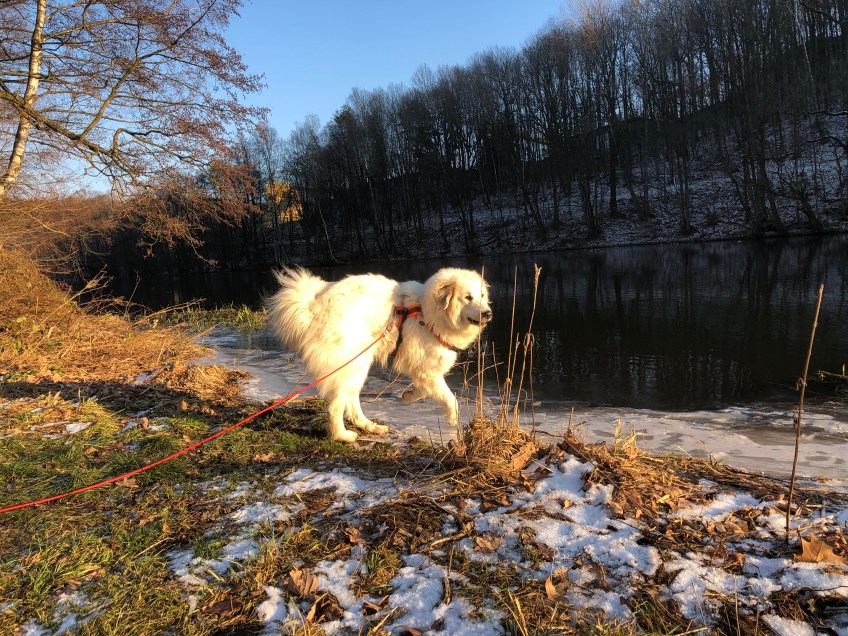Vorsichtig das harte Wasser antapsen!