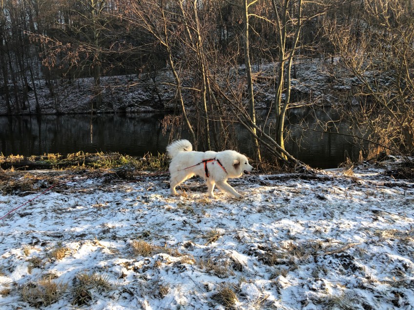 Am großen Fluß mit dem komischen Namen