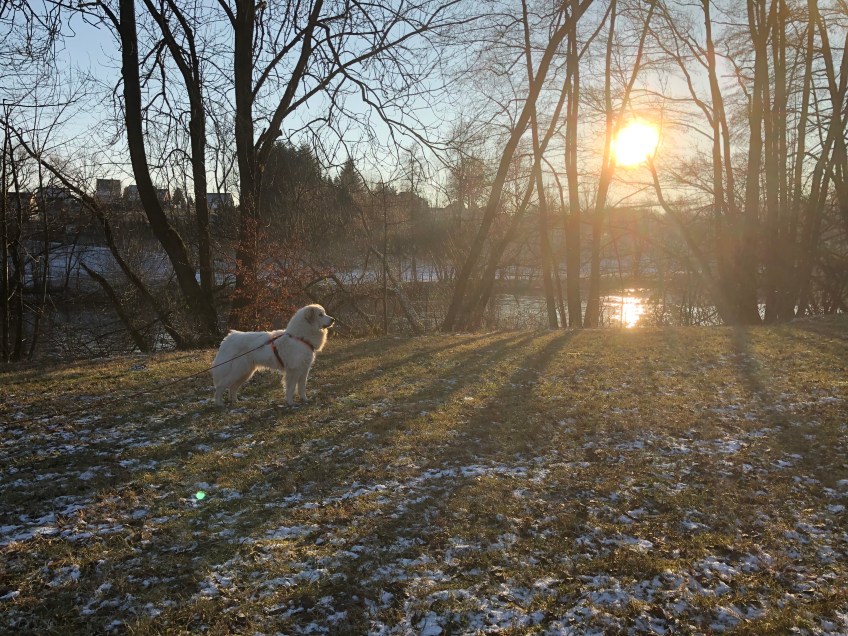 Geht‘s schon weiter?