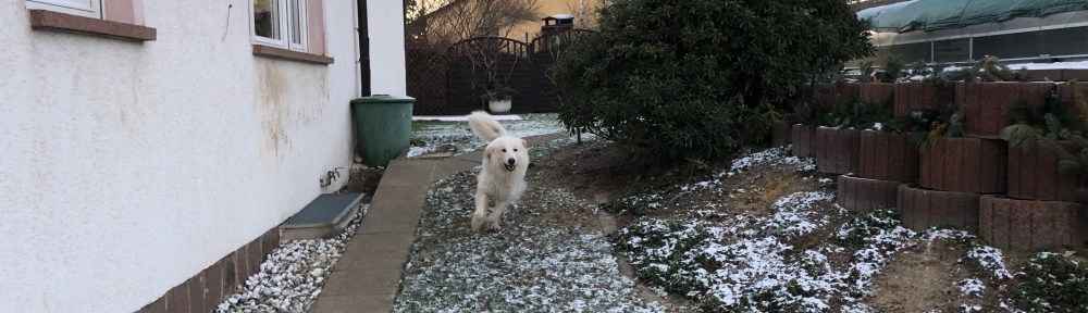 Achtung! Hier kommt eine Bella!