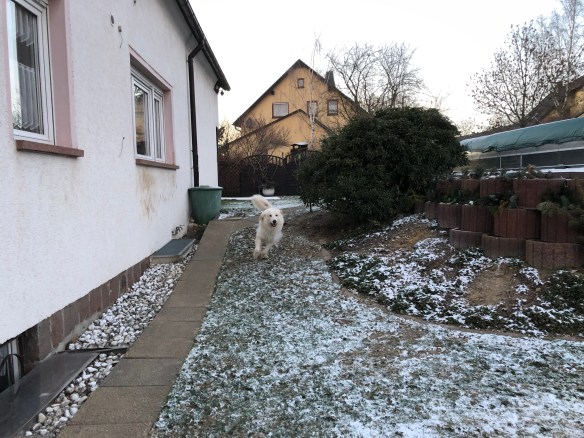 Achtung! Hier kommt eine Bella!