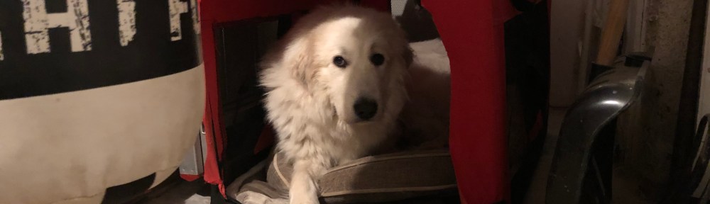 Die kleine Bella in ihrem roten Ferienhäuschen