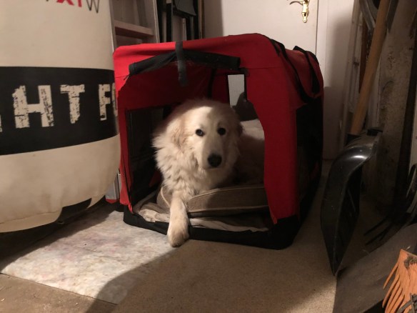 Die kleine Bella in ihrem roten Ferienhäuschen