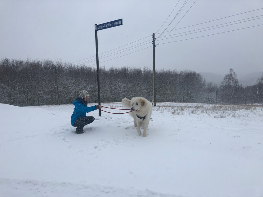 Die Bella und ihre kleine Menschenschwester beim Morgenspaziergang