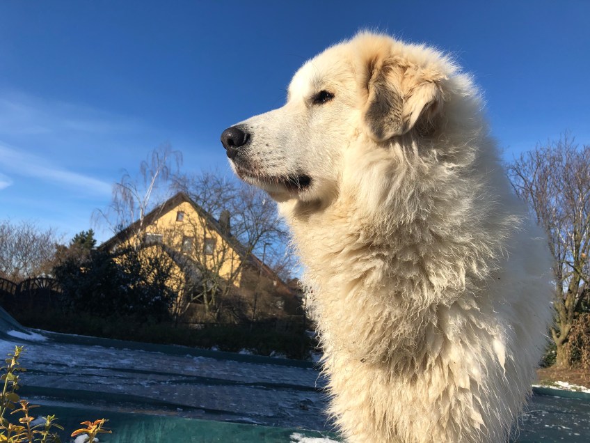Sonnenbad!