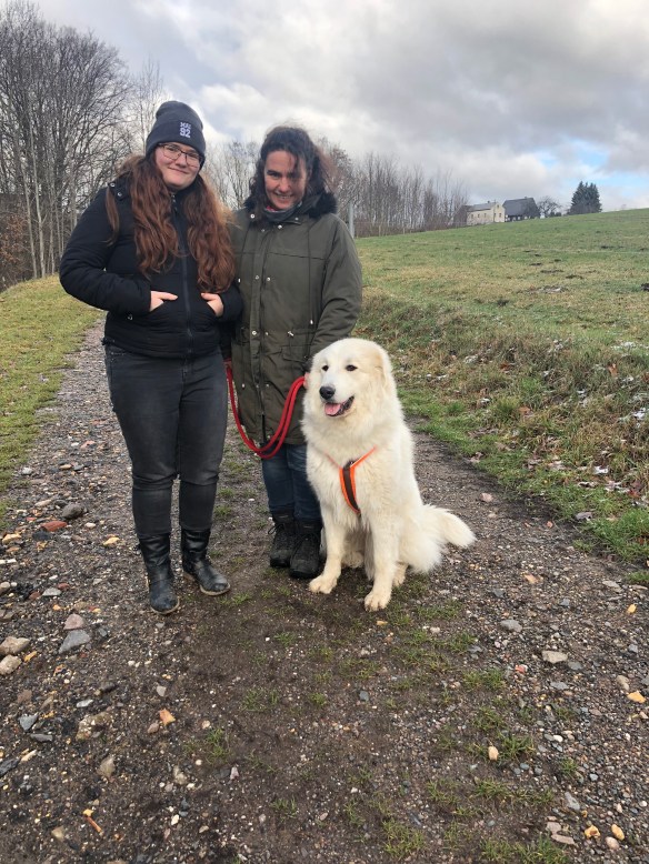 An meiner großen Feldwiese