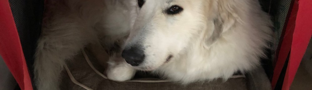 So ist es gemütlich!