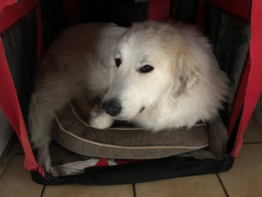 So ist es gemütlich!