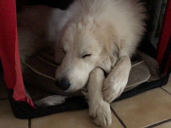 Pyriprinzessinenschönheitsschlaf in meinem kleinen roten Ferienhäuschen