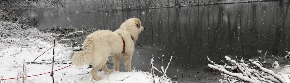 Die kleine Bella am großen Fluß mit dem komischen Namen