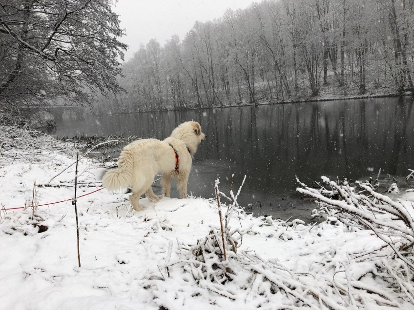 Die kleine Bella am großen Fluß mit dem komischen Namen