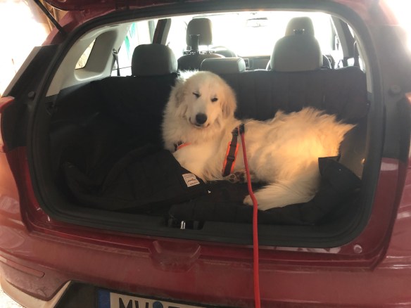 Ich bin noch müde, will hier drin bleiben!