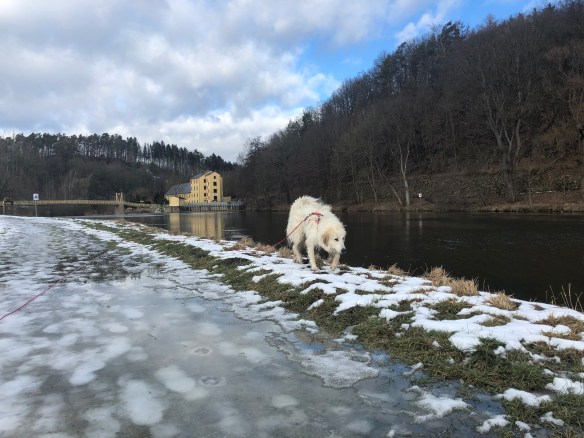 Die Bella ist gerade in den großen Fluß mit dem komischen Namen gefallen