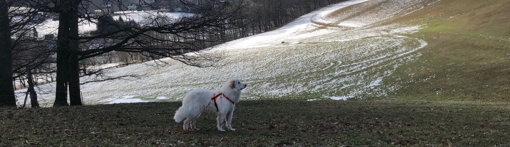 Auf der großen Wiese. Der Pustewind hat mein champagnercremeweißfarbenes Pyrifell schon wieder getrocknet