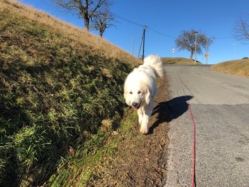 Los geht‘s! Morgenspaziergang!