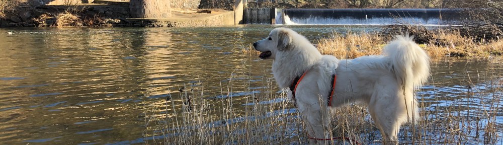 Im großen Fluß mit dem komischen Namen an der Wackelbrücke
