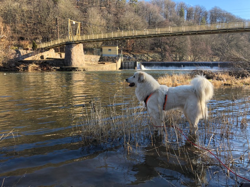 Im großen Fluß mit dem komischen Namen an der Wackelbrücke