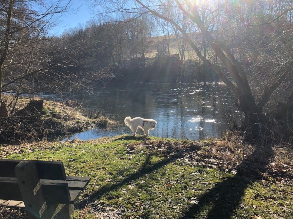 An der Tschooo-Pauuu in Ringethal beim Baumlehrpfad