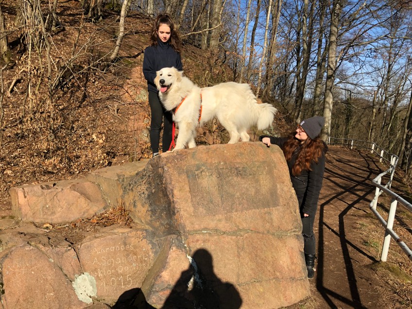 Die Bella mit ihren Menschenschwestern auf einem riesigen Felsen