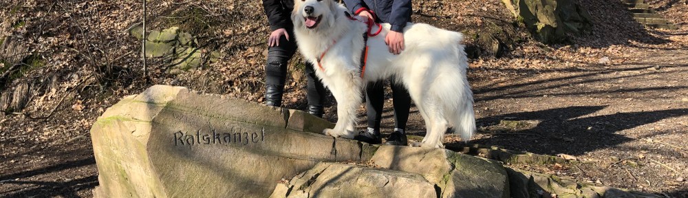 Die Bella und ihre Menschenschwestern