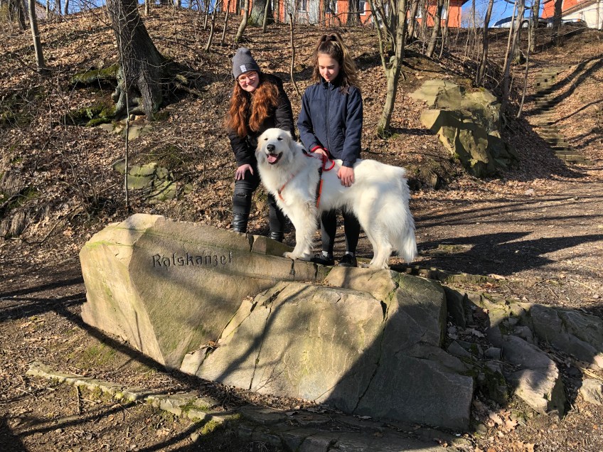 Die Bella und ihre Menschenschwestern