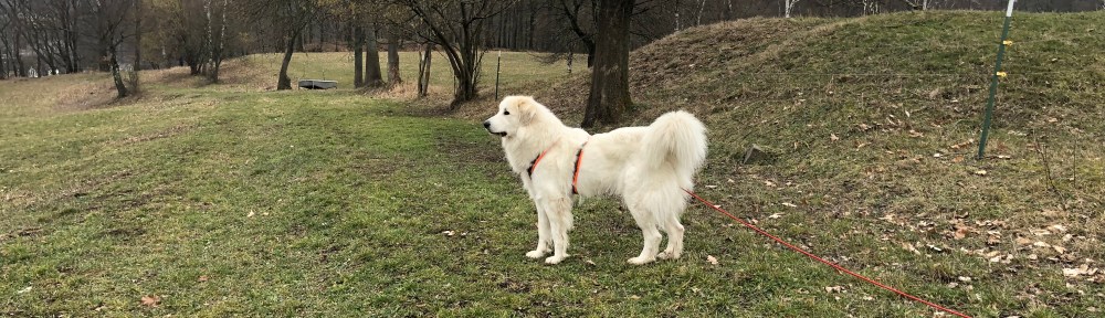 Hier habe ich den Überblick über die Feldwiese und den großen Fluß mit dem komischen Namen