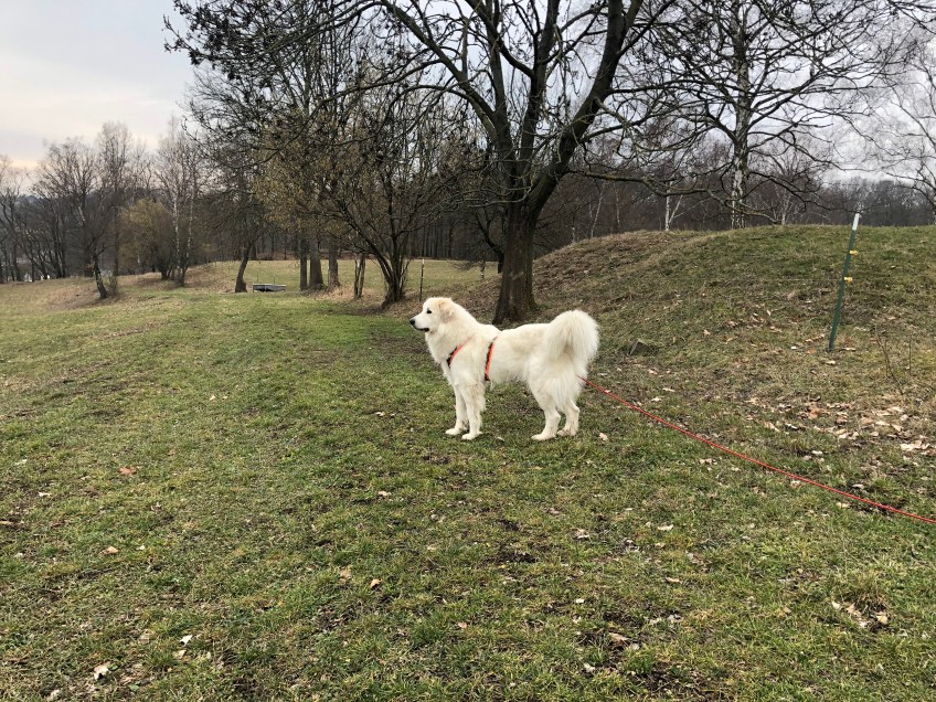 Hier habe ich den Überblick über die Feldwiese und den großen Fluß mit dem komischen Namen
