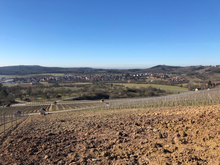 Blick vom Weinberg: Kleinaspach, „Sonnenhof“, Einöd